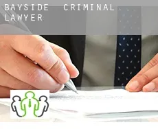 Bayside  criminal lawyer