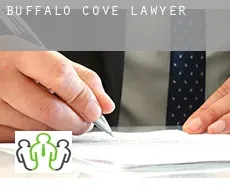 Buffalo Cove  lawyer