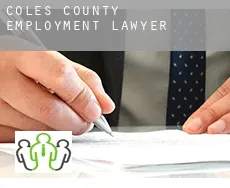 Coles County  employment lawyer