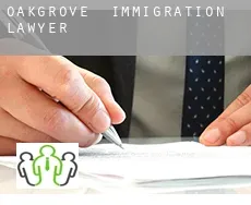 Oakgrove  immigration lawyer