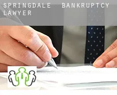 Springdale  bankruptcy lawyer