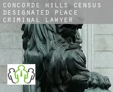 Concorde Hills  criminal lawyer
