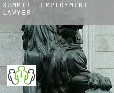 Summit  employment lawyer