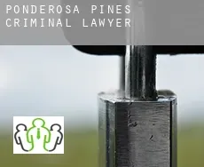 Ponderosa Pines  criminal lawyer
