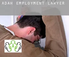 Adah  employment lawyer