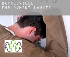 Baynesville employment lawyer