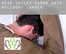 Ross Valley Farms  auto accident lawyer