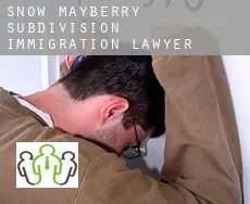 Snow Mayberry Subdivision  immigration lawyer