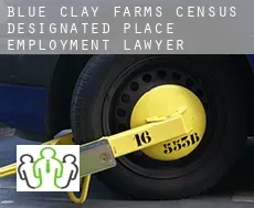 Blue Clay Farms  employment lawyer