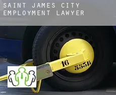 Saint James City  employment lawyer