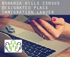 Bonanza Hills  immigration lawyer
