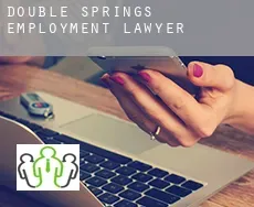 Double Springs  employment lawyer