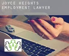 Joyce Heights  employment lawyer