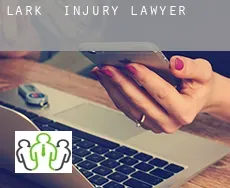 Lark  injury lawyer
