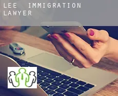 Lee  immigration lawyer