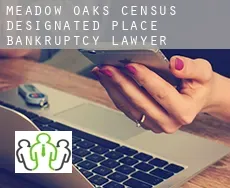 Meadow Oaks  bankruptcy lawyer