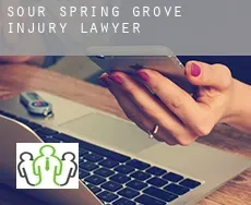 Sour Spring Grove  injury lawyer