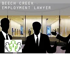 Beech Creek  employment lawyer