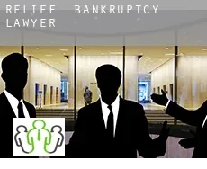Relief bankruptcy lawyer