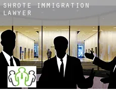 Shrote  immigration lawyer