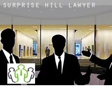 Surprise Hill  lawyer