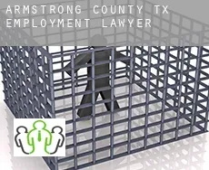 Armstrong TX  employment lawyer