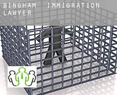 Bingham  immigration lawyer
