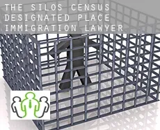 The Silos  immigration lawyer