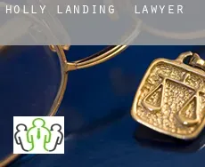 Holly Landing  lawyer