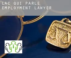 Lac qui Parle  employment lawyer