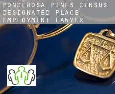 Ponderosa Pines  employment lawyer
