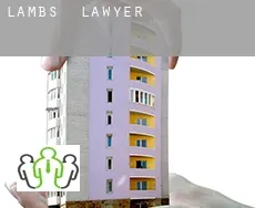 Lambs  lawyer