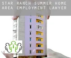 Star Ranch Summer Home Area  employment lawyer