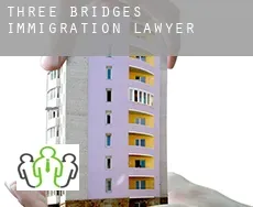 Three Bridges  immigration lawyer