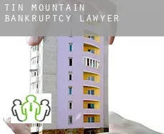 Tin Mountain  bankruptcy lawyer