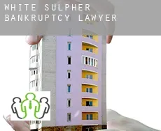 White Sulpher  bankruptcy lawyer