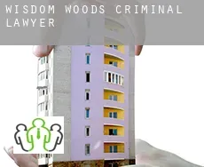 Wisdom Woods  criminal lawyer