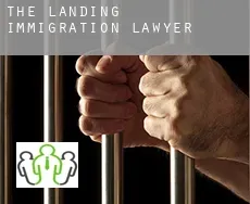 The Landing  immigration lawyer