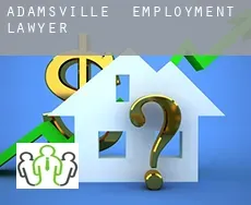 Adamsville  employment lawyer