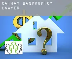 Cathay bankruptcy lawyer