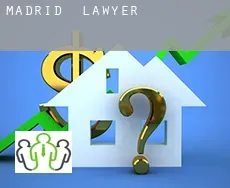 Madrid  lawyer
