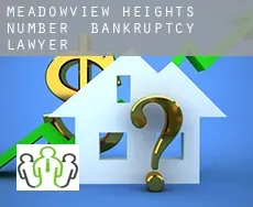 Meadowview Heights Number 4  bankruptcy lawyer