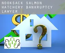 Nooksack Salmon Hatchery  bankruptcy lawyer