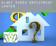 Olney Acres  employment lawyer