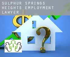 Sulphur Springs Heights  employment lawyer