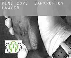 Pine Cove  bankruptcy lawyer