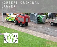 Norbert  criminal lawyer