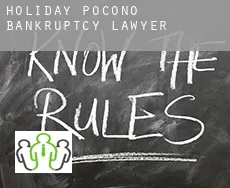 Holiday Pocono  bankruptcy lawyer