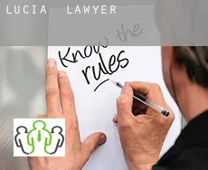 Lucia  lawyer