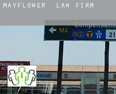 Mayflower  law firm